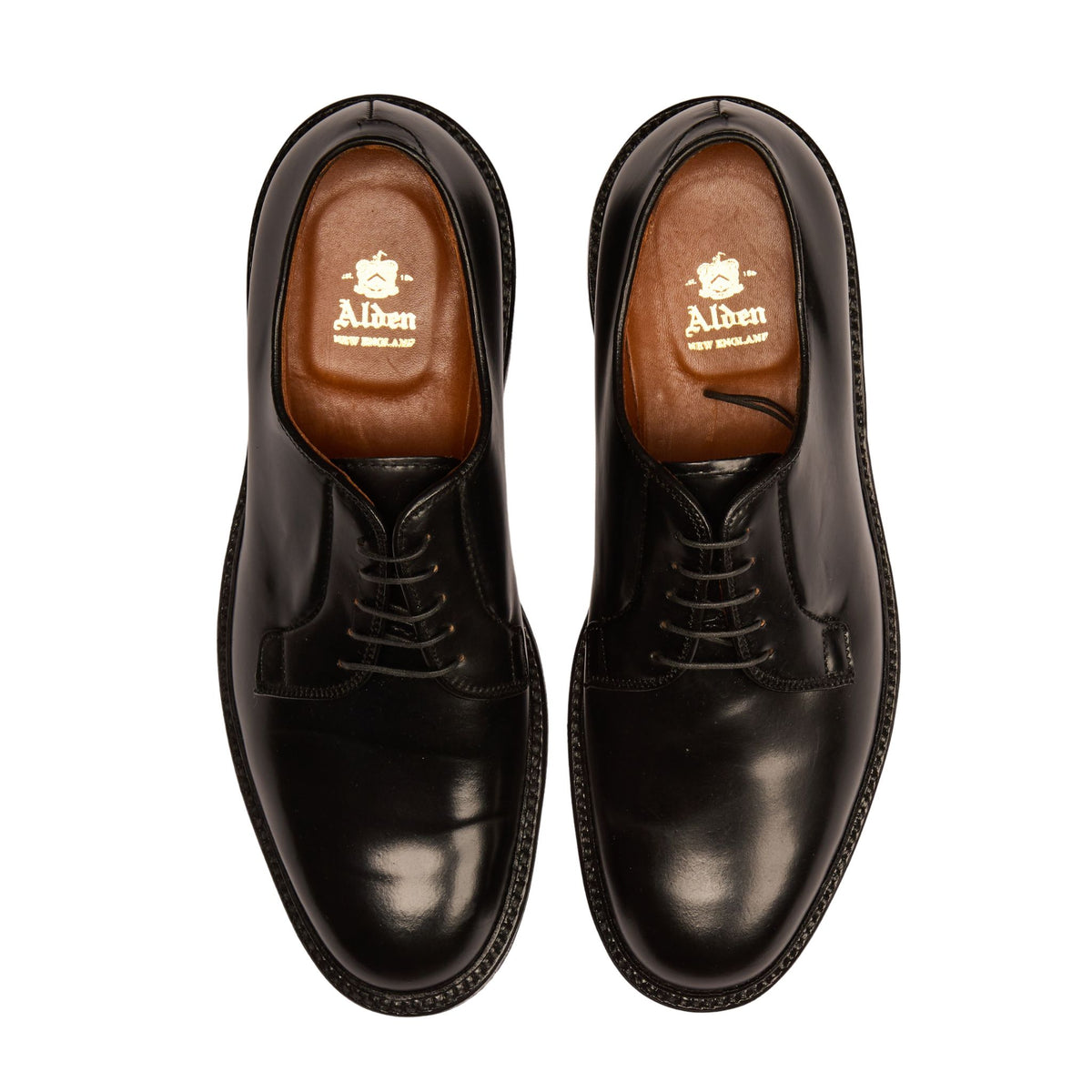 ALDEN - 9901 Plain Cordovan Derby Black