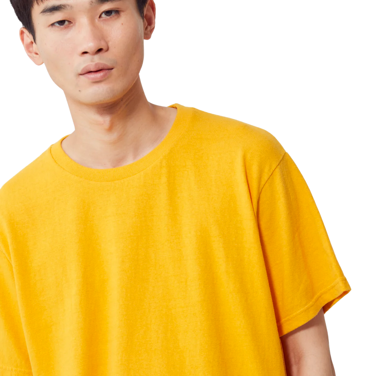 FILMELANGE - Dos / Organic Raffy Tenjiku T-Shirt