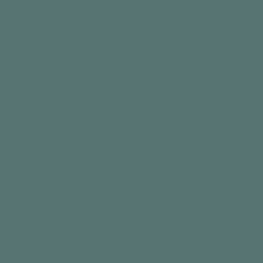 SUNRAY - Makaha S/S T-Shirt Sagebrush Green